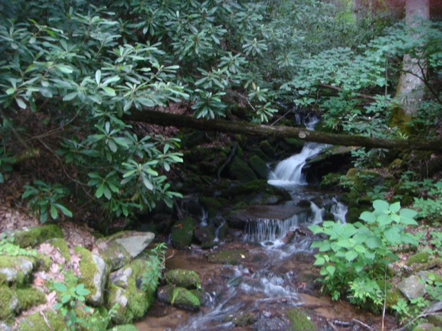 Heintooga Roundbottom Road mountain stream