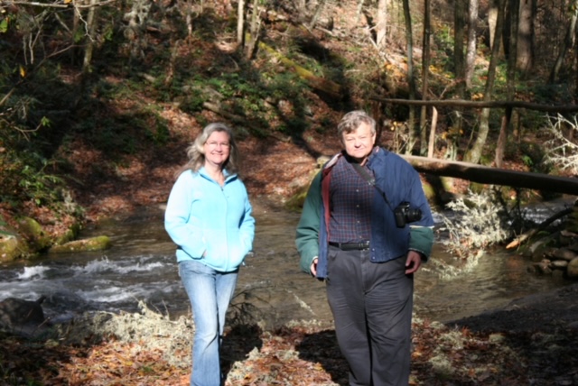 By a stream in Cataloochee NC