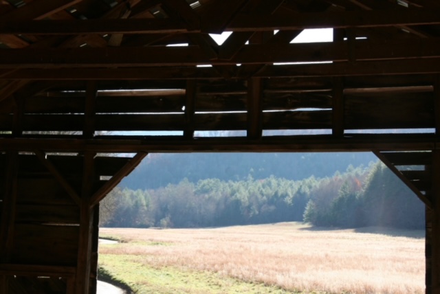View from inside a barn in Cataloochee