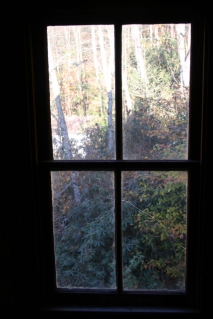 Caldwell Place Window View