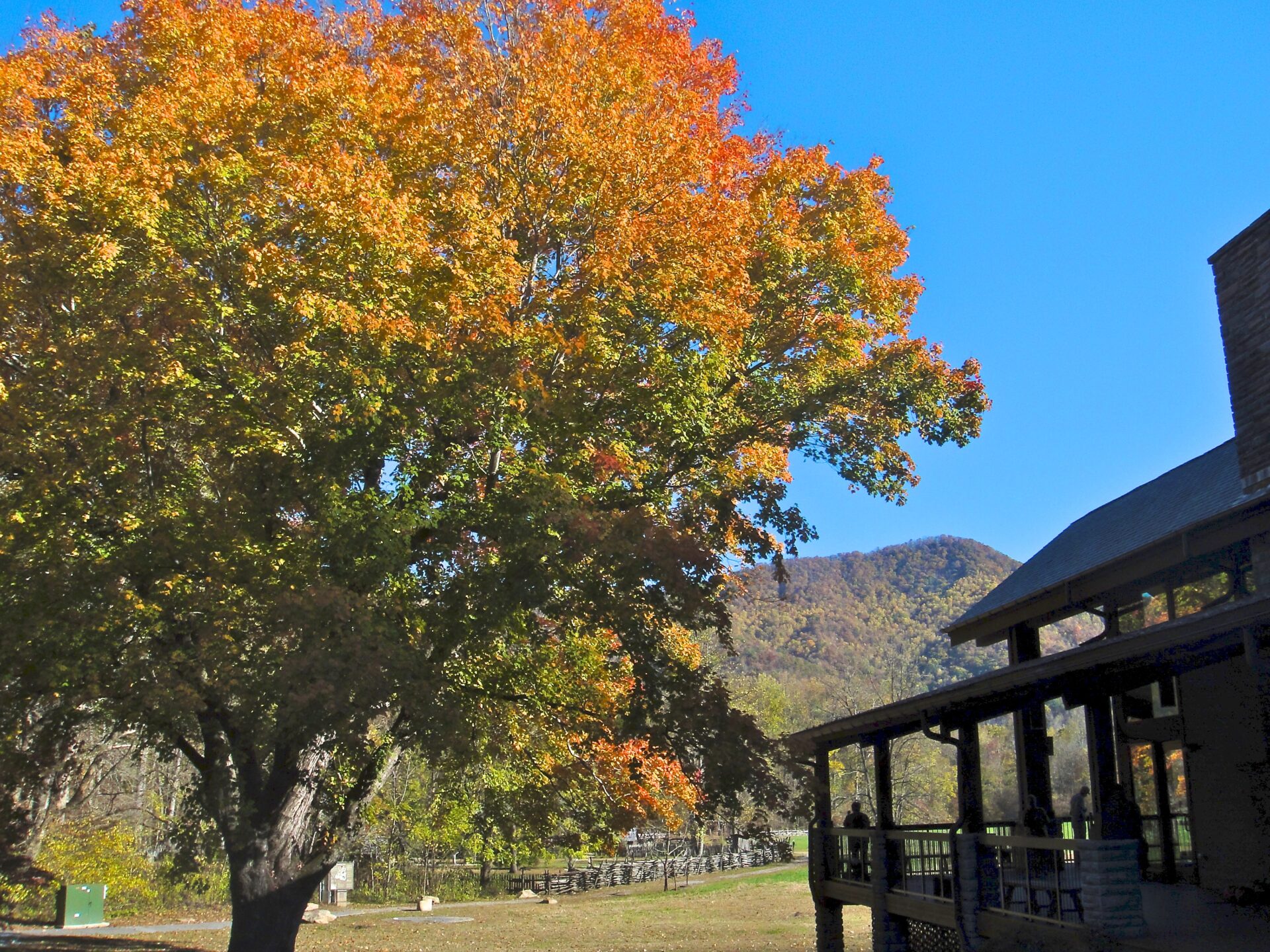 Autumn Foliage Tour