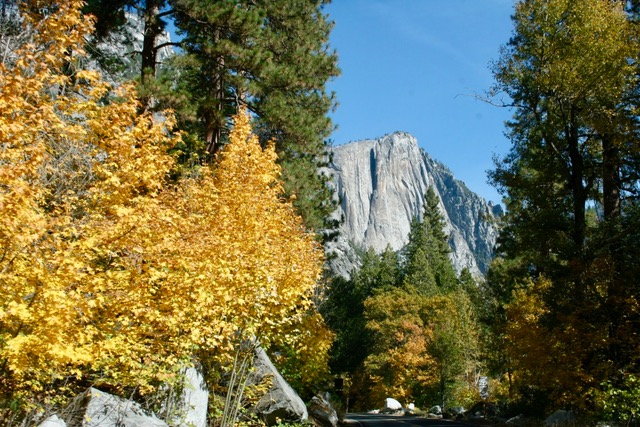 Yosemite – Day Two