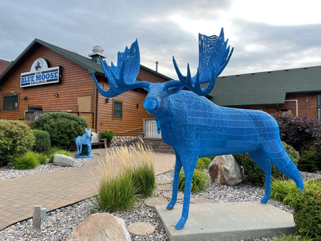 Blue Moose in East Grand Forks