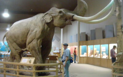 Mammoths,Bison,and Caves