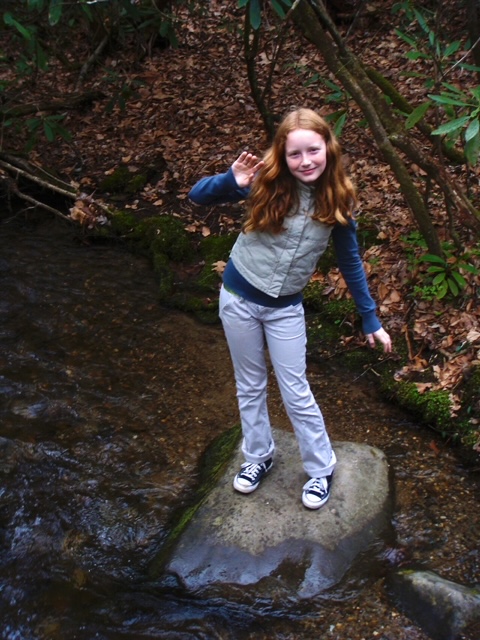 Perched on a rock in the middle of the Oconoluftee River