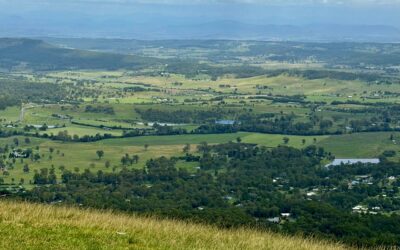 A Rainforest Adventure in Australia