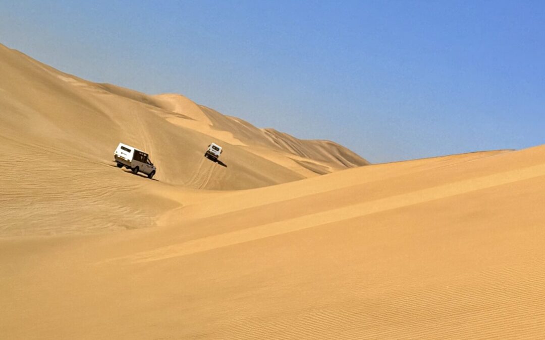 Desert Safari: Meet Namibia’s Hidden Creatures