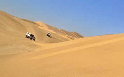 Desert Safari: Meet Namibia’s Hidden Creatures