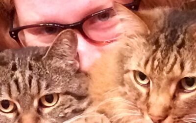 Oodles of Cats