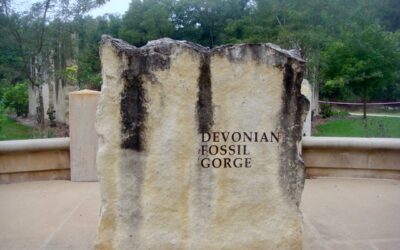 Devonian Fossils and Amana Mill