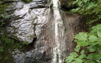 Waterfalls, BBQ, and Waterfalls