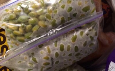 Edamame & Alpaca
