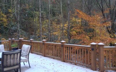 Is It Autumn or Winter?