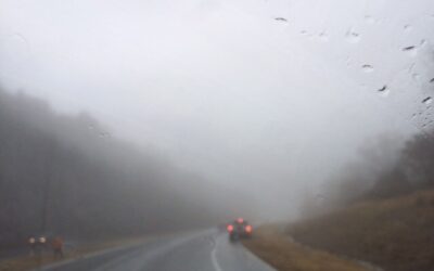 Misty Moisty Morning