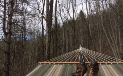 A View from the Hammock