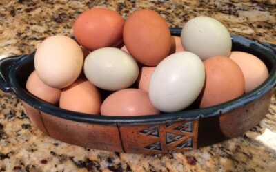 Easter Eggs!