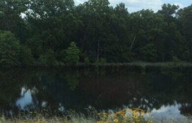 Texas Backroads