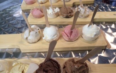 Ice Cream Flights