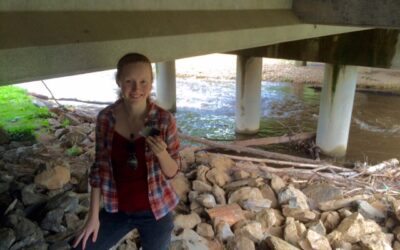 Under the Bridge Again 