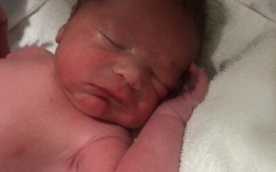 Welcome Huxley!