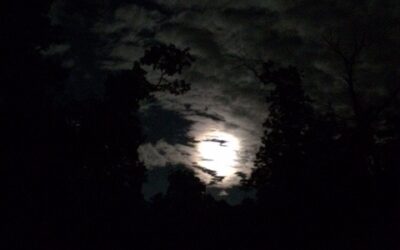 Hidden EclipseÂ