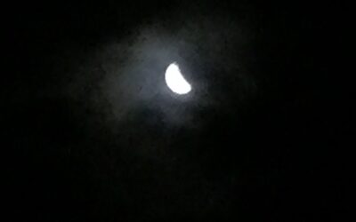 Peek-A-Boo Moon
