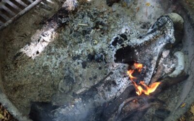 And a Campfire?