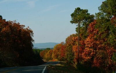 Arkansas Scenic Highway 7
