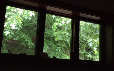 The View from Our Window 