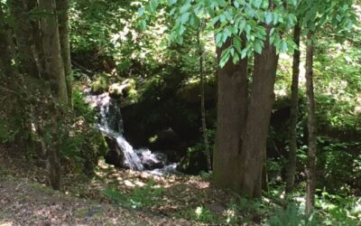 A Waterfalls View