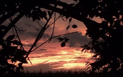 Illinois SunsetÂ
