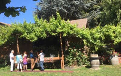 Brunch at La Nebbia Winery