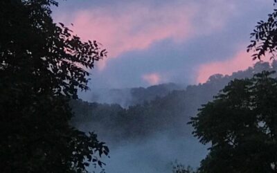 Blessings of Misty Rain