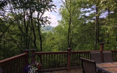 Back to Our View