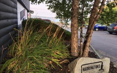 Harrington’s by the Bay