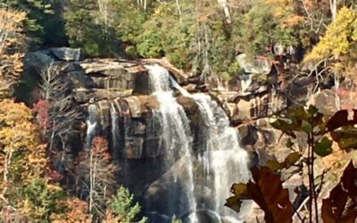 BBQ, Waterfalls, and Hikes