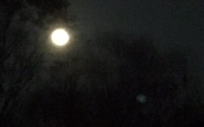 Hot Chocolate by Moonlight