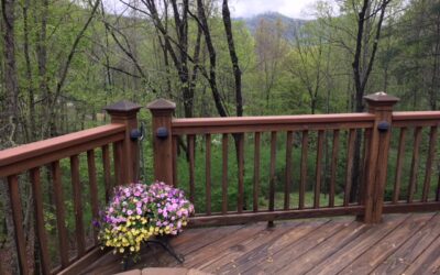 Springtime Transition