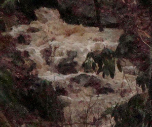 Rain, Rain