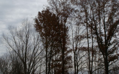 Kentucky