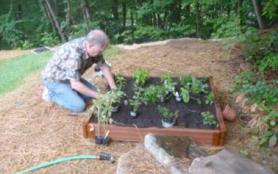 Finally, A Garden