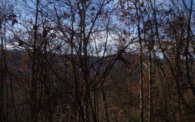 A View from the Ridge