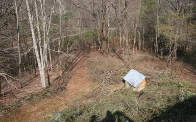 Brushpiles
